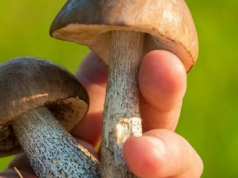 Tour ed esperienze stagionali