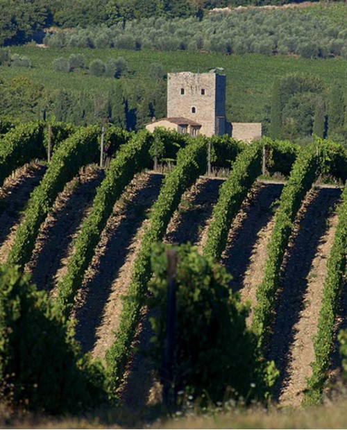 Tour a San Gimignano e Siena con pranzo e wine tasting nel Chianti Tour a San Gimignano e Siena con pranzo e wine tasting nel Chianti