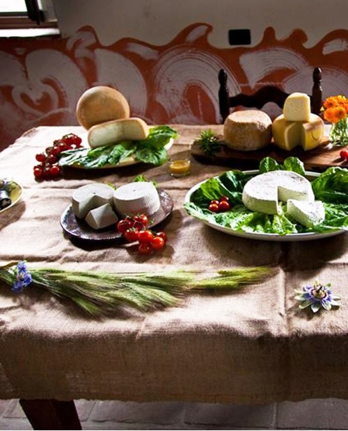 Cena biologica tipica toscana in agriturismo a Castiglioncello Cena biologica tipica toscana in agriturismo a Castiglioncello