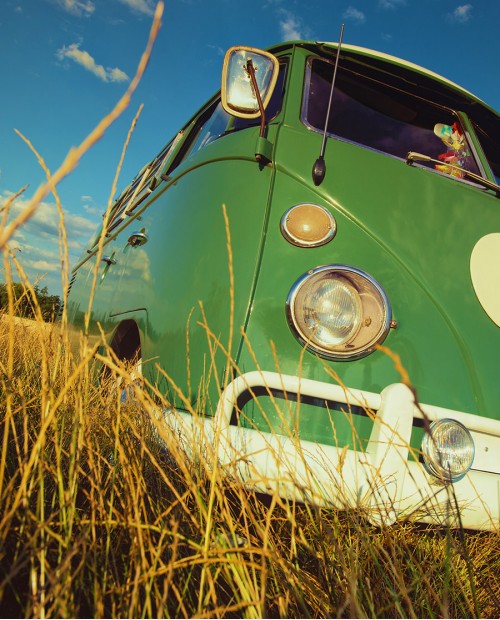 Tour in minibus di tre cantine umbre con degustazione di vini rossi e Sagrantino Tour in minibus di tre cantine umbre con degustazione di vini rossi e Sagrantino