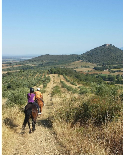 Vacanza in famiglia sul Lago Trasimeno con passeggiata a cavallo e cena bio Vacanza in famiglia sul Lago Trasimeno con passeggiata a cavallo e cena bio