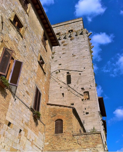Tour tra colori e sapori del Chianti e degustazioni in cantina Tour tra colori e sapori del Chianti e degustazioni in cantina