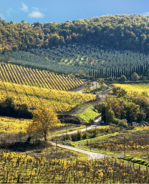 Tour guidato di San Gimignano, Siena, Monteriggioni e degustazione di Chianti Tour guidato di San Gimignano, Siena, Monteriggioni e degustazione di Chianti