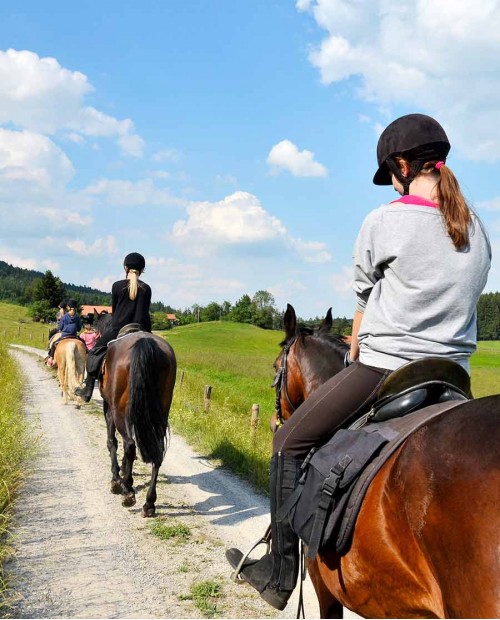 Passeggiata a cavallo tra le colline umbre e cena tipica Passeggiata a cavallo tra le colline umbre e cena tipica