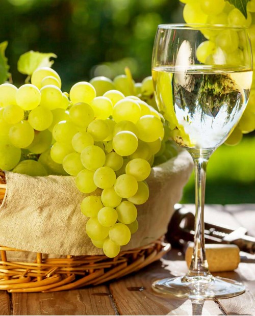 La cantina Bio La cantina Bio