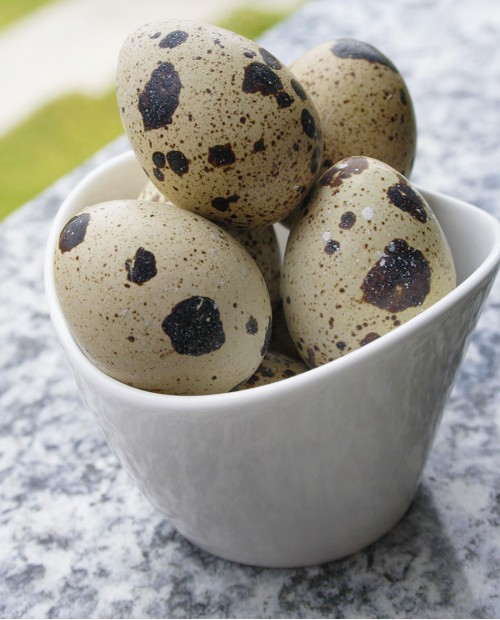 Pranzo umbro gourmet a domicilio Pranzo umbro gourmet a domicilio