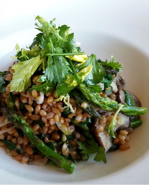 Delizie autentiche della terra umbra Delizie autentiche della terra umbra