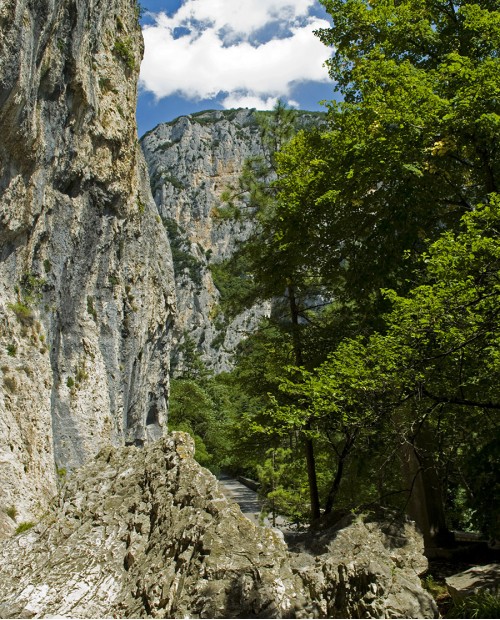 A caccia di tartufi nelle Marche, degustazione e pranzo a tema A caccia di tartufi nelle Marche, degustazione e pranzo a tema