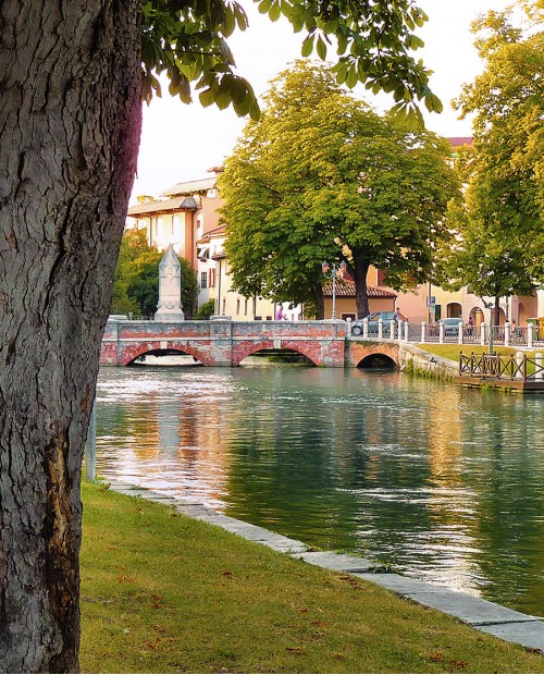 Storie e itinerari di cucina trevigiana: radicchio rosso e trote Storie e itinerari di cucina trevigiana: radicchio rosso e trote