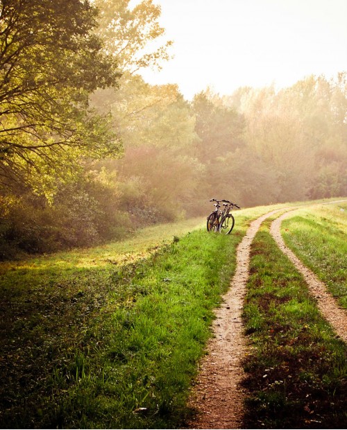 In bici tra i trulli della Val d'Itria con degustazione dei sapori tipici pugliesi In bici tra i trulli della Val d'Itria con degustazione dei sapori tipici pugliesi
