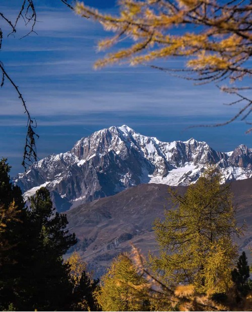 Tour del Monte Bianco e Courmayeur con degustazione di vino Tour del Monte Bianco e Courmayeur con degustazione di vino