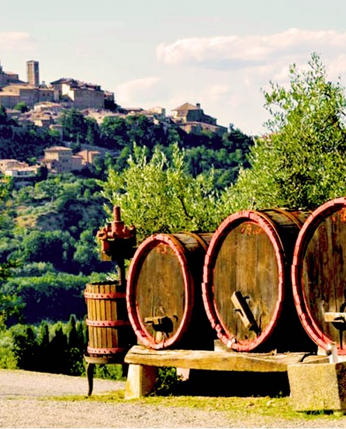 Pomeriggio abruzzese in cantina tra degustazioni e pic nic in giardino Pomeriggio abruzzese in cantina tra degustazioni e pic nic in giardino