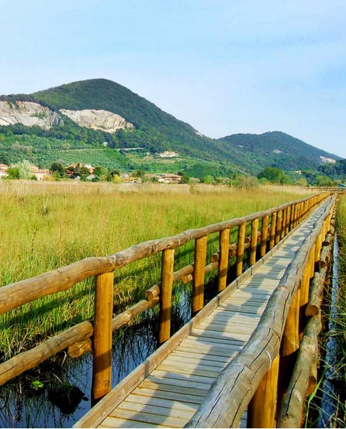 Alla scoperta del lago di Massaciuccoli, il più grande della Toscana, con guida locale e pranzo gourmet Alla scoperta del lago di Massaciuccoli, il più grande della Toscana, con guida locale e pranzo gourmet