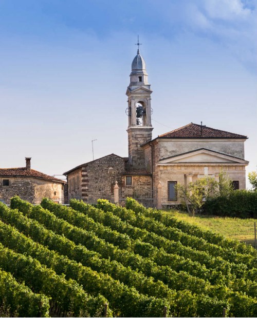 Verona bike tour: Amarone biologico con visita, degustazione e pranzo in Valpolicella Verona bike tour: Amarone biologico con visita, degustazione e pranzo in Valpolicella