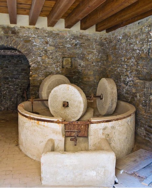 Puglia itinerari millenari: al frantoio ipogeo con degustazione di olio EVO e friselle Puglia itinerari millenari: al frantoio ipogeo con degustazione di olio EVO e friselle