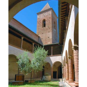 Tour guidato alla scoperta dell'olio extra vergine di oliva toscano