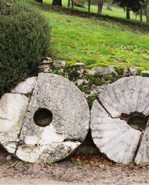 Le strade dell'olio umbro: visita al frantoio con degustazione e pranzo Le strade dell'olio umbro: visita al frantoio con degustazione e pranzo