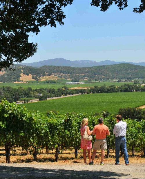 Wine tour di due cantine nel Chianti e visita di Siena e Monteriggioni tra arte e storia Wine tour di due cantine nel Chianti e visita di Siena e Monteriggioni tra arte e storia