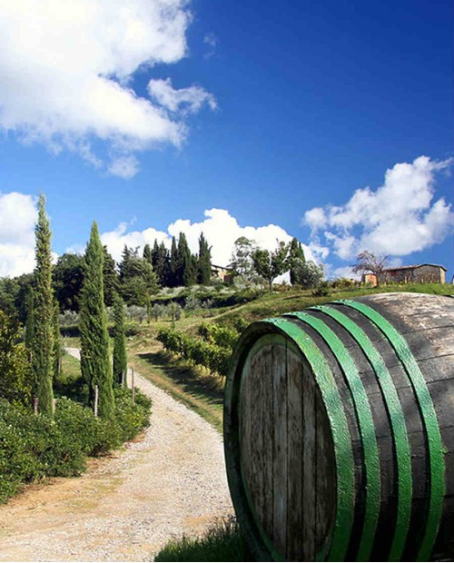 Sulle strade del vino Chianti e tour di Firenze con pranzo e degustazione Sulle strade del vino Chianti e tour di Firenze con pranzo e degustazione