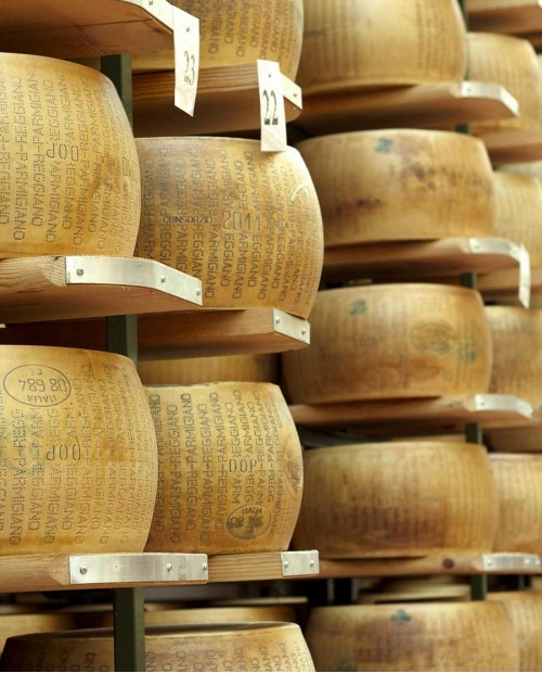 Alle origini del gusto nei dintorni di Parma Alle origini del gusto nei dintorni di Parma