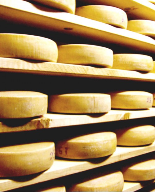 Degustazioni al lago d'Iseo tra caseari e cantine ai confini della Franciacorta Degustazioni al lago d'Iseo tra caseari e cantine ai confini della Franciacorta