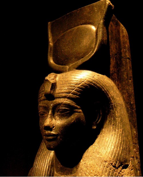 Torino: itinerario delle Langhe a tavola, visita della città e del Museo Egizio Torino: itinerario delle Langhe a tavola, visita della città e del Museo Egizio