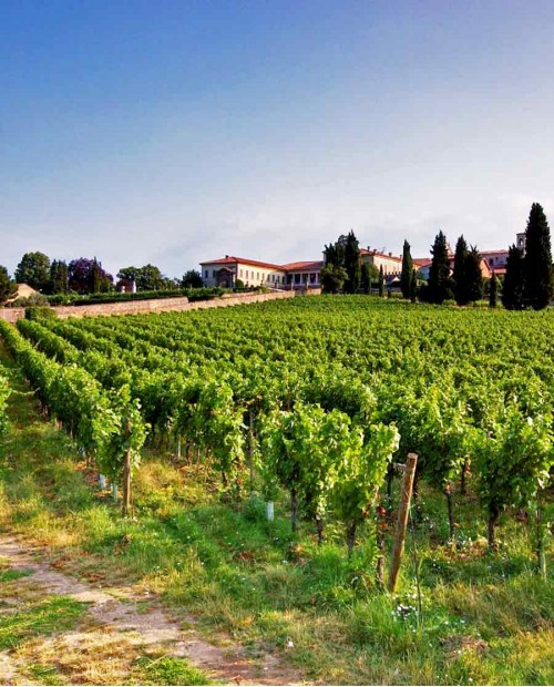 Tour del Franciacorta alla scoperta dei suoi tesori