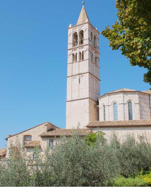 Giro in calesse con cavalli ad Assisi con tagliere di norcinerie e vino Giro in calesse con cavalli ad Assisi con tagliere di norcinerie e vino