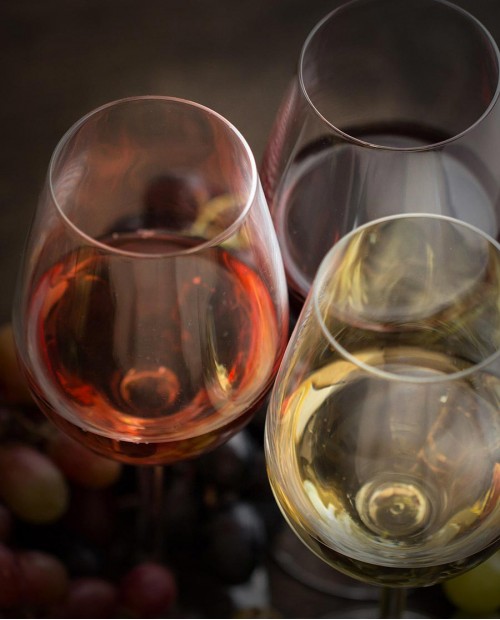 La cantina dei migliori vini piemontesi: selezione in 12 bottiglie La cantina dei migliori vini piemontesi: selezione in 12 bottiglie