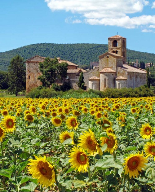 Agriturismo a Siena: soggiorno e doppia lezione di cucina toscana Agriturismo a Siena: soggiorno e doppia lezione di cucina toscana