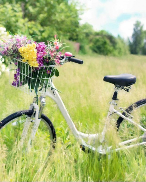 Una giornata in bici a Verona nelle Terre del Custoza con degustazione Una giornata in bici a Verona nelle Terre del Custoza con degustazione