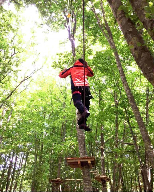 Percorsi sospesi al Parco Avventura tra natura e gusto a km 0 Percorsi sospesi al Parco Avventura tra natura e gusto a km 0