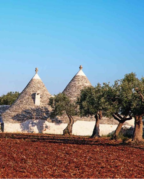 I trulli di Alberobello: tour e degustazione di vino Primitivo del Salento I trulli di Alberobello: tour e degustazione di vino Primitivo del Salento