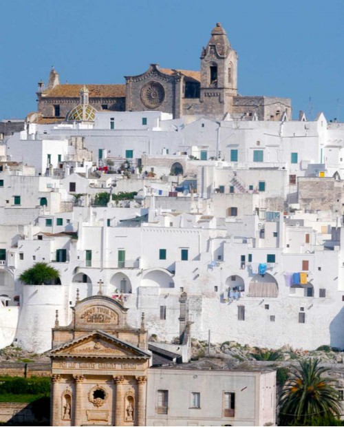 La Città Bianca e il suo oro verde: degustazione di olio e tour a Ostuni La Città Bianca e il suo oro verde: degustazione di olio e tour a Ostuni