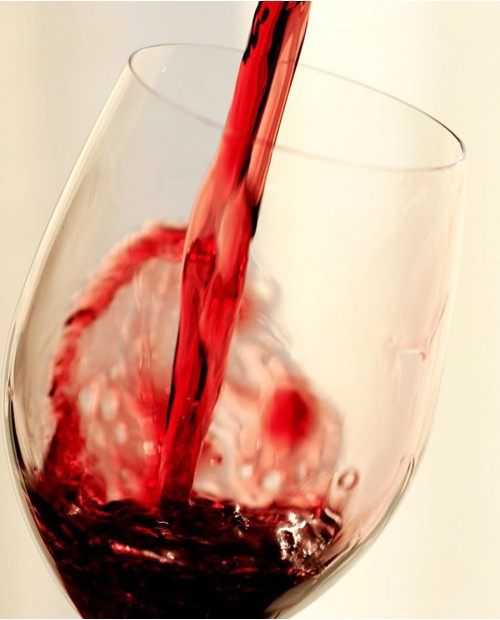 I grandi rossi del Salento: degustazione guidata nei vigneti di Alberobello I grandi rossi del Salento: degustazione guidata nei vigneti di Alberobello