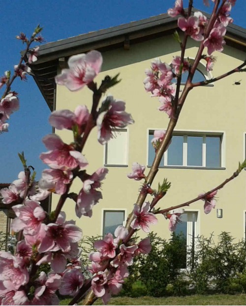 Week end a Reggio Emilia con degustazione di Lambruschi e Malvasie Week end a Reggio Emilia con degustazione di Lambruschi e Malvasie