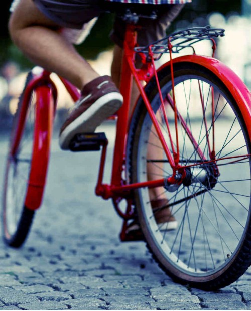 Urban farm a Milano: bike tour notturno, narratori e degustazioni bio Urban farm a Milano: bike tour notturno, narratori e degustazioni bio