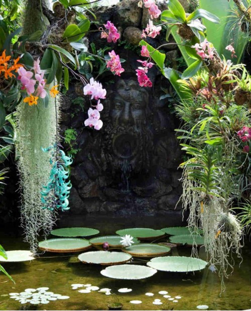 Come una Ninfa. A Ischia escursione naturalistica, pranzo e parco termale Come una Ninfa. A Ischia escursione naturalistica, pranzo e parco termale