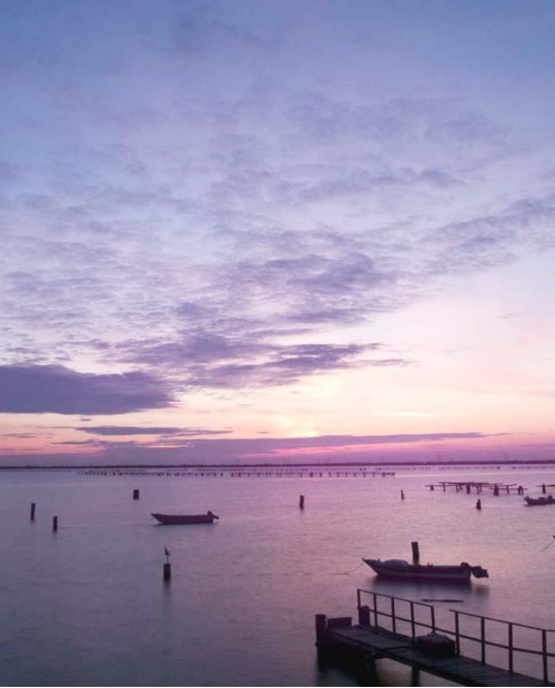 In viaggio con lentezza sul Delta del Po tra natura e arte In viaggio con lentezza sul Delta del Po tra natura e arte