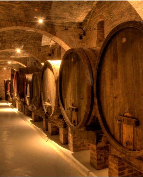 Degustazione di Barbera, Nebbiolo e Barolo in cantina sulle Langhe Degustazione di Barbera, Nebbiolo e Barolo in cantina sulle Langhe