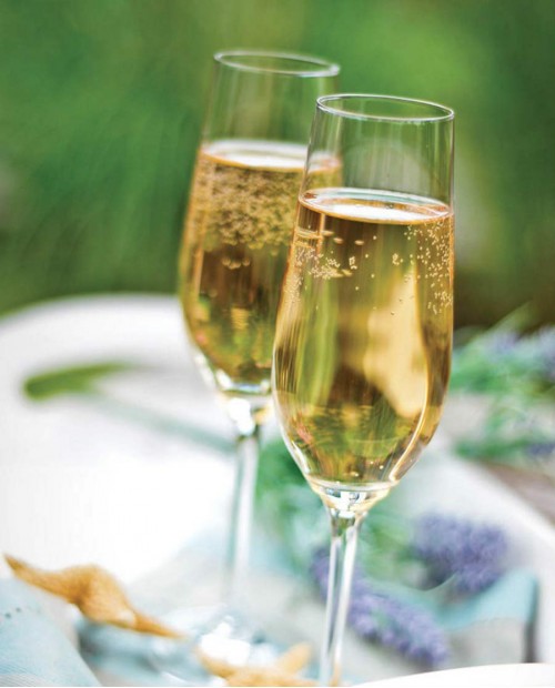 Bollicine Franciacorta con il maestro di cuvée: aperitivo sul lago d'Iseo Bollicine Franciacorta con il maestro di cuvée: aperitivo sul lago d'Iseo