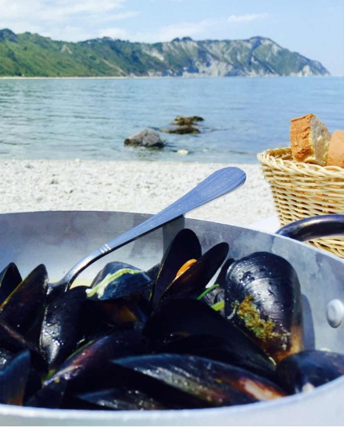 Escursione in Kayak: mare, moscioli e vino Verdicchio sulla riviera del Conero Escursione in Kayak: mare, moscioli e vino Verdicchio sulla riviera del Conero