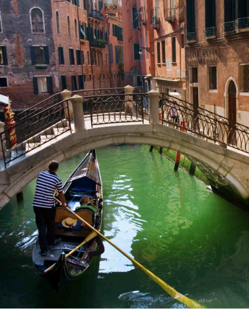 Romantica e gustosa Venezia: itinerario privato tra canali in gondola e degustazione di cicchetti tipici veneziani Romantica e gustosa Venezia: itinerario privato tra canali in gondola e degustazione di cicchetti tipici veneziani