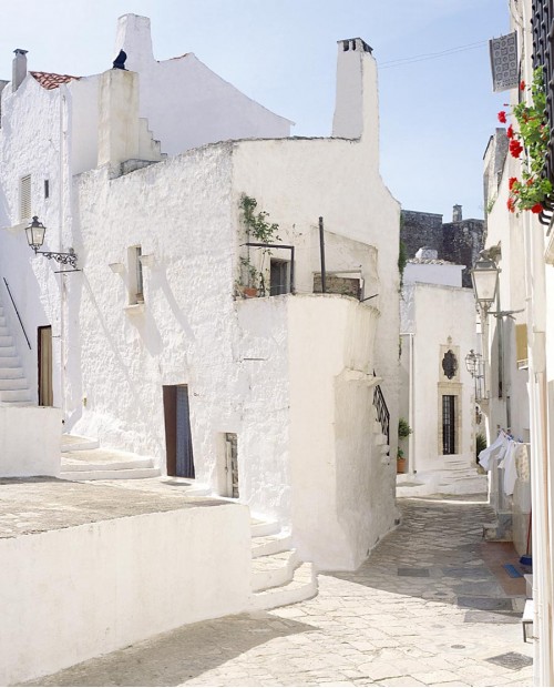 Tour in minibus con degustazione tipica tra i Trulli in Valle d'Itria Tour in minibus con degustazione tipica tra i Trulli in Valle d'Itria