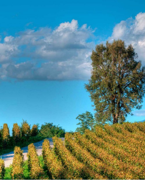 Degustazione dei sapori di montagna in Valtellina Degustazione dei sapori di montagna in Valtellina