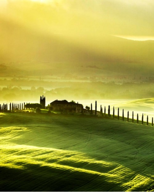 Tour lungo la via Francigena con pranzo toscano in monastero Tour lungo la via Francigena con pranzo toscano in monastero