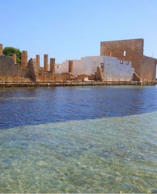 Birdwatching e degustazione alle tonnare siciliane Birdwatching e degustazione alle tonnare siciliane